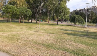 Košenje trave u parku i sušenje drveća na Prozivki