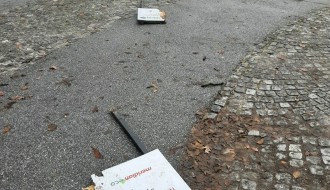 Vandalizam u Dudovoj šumi