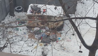 Slika govori više od svih apela