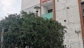 Žbunje zaklanja osvetljenje ispred zgrade u ulici Sekereš Lasla