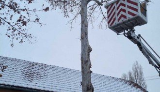 Pala grana na krov kuće (Ugao Kosovske i Vatroslava Lisinskog)