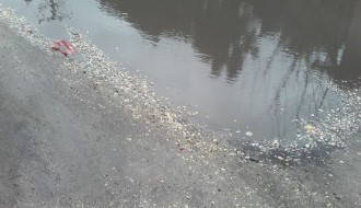 Koparska Ulica, 21. vek