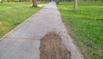 Rupe na pešačkoj stazi u Dudovoj šumi