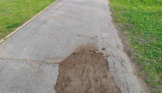 Rupe na pešačkoj stazi u Dudovoj šumi