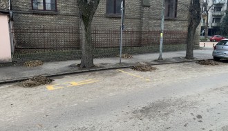 Blato od lišća u Ulici Ivana Gorana Kovačića