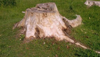 Uništavanje bazenskog kompleksa u Čantaviru