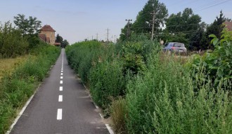 Korov, trava i drugo rastinje na biciklističkoj stazi kod bivše Zorke