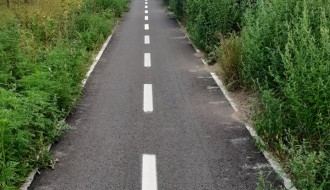 Korov, trava i drugo rastinje na biciklističkoj stazi kod bivše Zorke