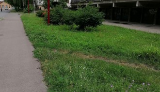 Prepunjeni kontejneri i zapuštena zelena površina u Šumskoj ulici