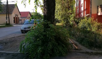 Prepunjeni kontejneri i zapuštena zelena površina u Šumskoj ulici