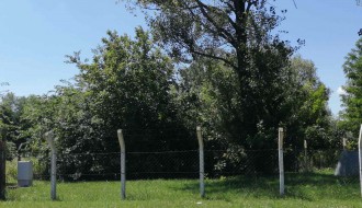 Korov oko "Vodovoda"