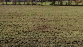 Zapušteni teren kod škole i vrtića u Malom Bajmoku