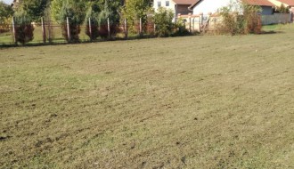 Zapušteni teren kod škole i vrtića u Malom Bajmoku