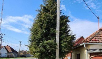 Nebezbedna bandera u Crvenom selu