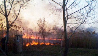 Ko gasi požare u Tavankutu?