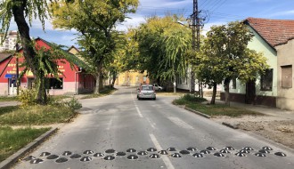 Nova vrsta ležećih policajaca u gradu?!