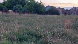 Dečje igralište u Malom Bajmoku zaraslo u travu