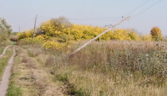 Bandera i Elektrovojvodina
