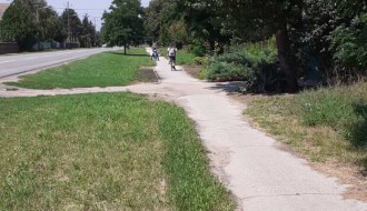 Korov i ambrozija pored trotoara na Kelebiji