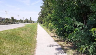 Korov i ambrozija pored trotoara na Kelebiji