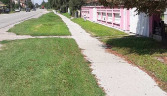 Korov i ambrozija pored trotoara na Kelebiji