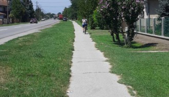 Korov i ambrozija pored trotoara na Kelebiji