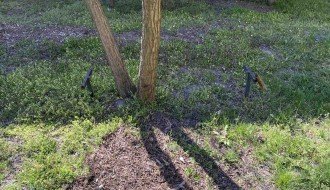 Igralište na Železničkom naselju opasno za decu