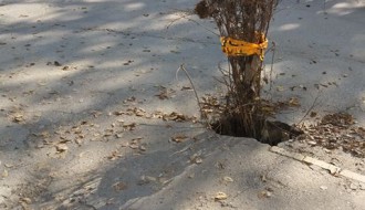 Rupa na biciklističkoj stazi na Somborskom putu