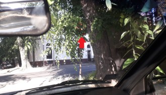 Saobaćajni znakovi zarasli u rastinje