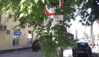 Saobaćajni znakovi zarasli u rastinje