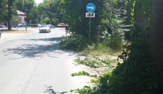 Saobaćajni znakovi zarasli u rastinje