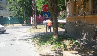 Saobaćajni znakovi zarasli u rastinje