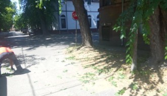 Saobaćajni znakovi zarasli u rastinje