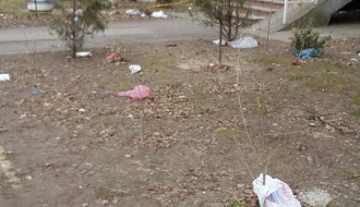 Problem sa onim nekulturnima