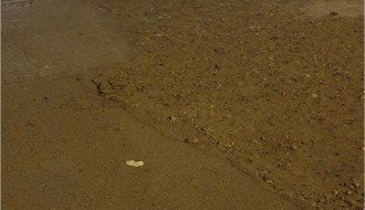 Asfalt ispred Hale sportova