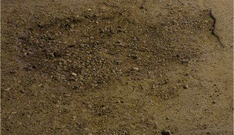 Asfalt ispred Hale sportova