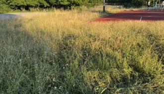 Nepokošena trava oko igrališta u Aleksandrovu  opasnost za decu da pokupe krpelje