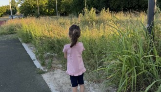 Nepokošena trava oko igrališta u Aleksandrovu  opasnost za decu da pokupe krpelje