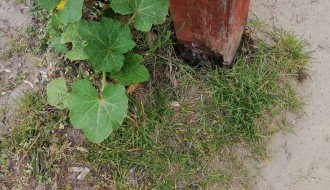 Uništeno dečje igralište u Dudovoj šumi