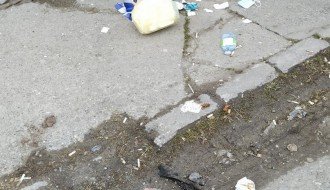 Ne prazni se kanta sa smećem na autobuskom stajalištu u Bajmoku