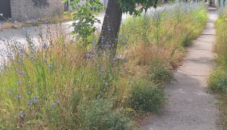 Neodržavanje javbih površina - ugao Gajeve i Bajskog puta