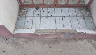 Najezda žohara - buba švaba