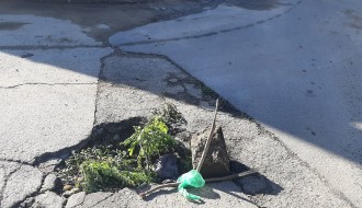 Rupa na putu - Dudova šuma