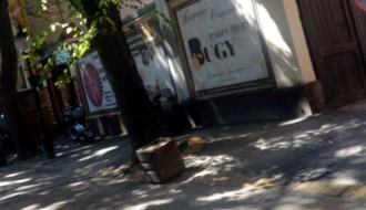 Žardinjere u Engelsovoj "ukopane" u popločanu stazu