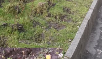 "Lepši i čistiji" grad - Subotica strogi centar. Ne kultura ili nešto drugo?