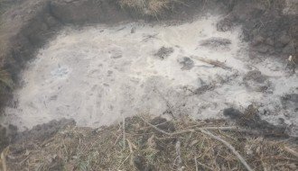 Salaši u Đurđinu bez vode više dana