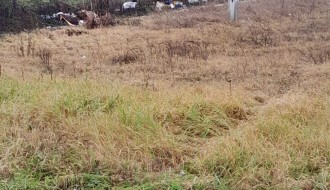 Divlja deponija u Malom Bajmoku (Mačvanska - Durmitorska)