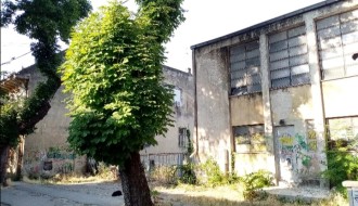 Ruglo u Harambašićevoj