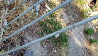 Ruglo u Harambašićevoj