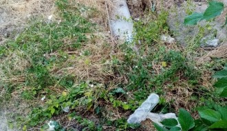 Ruglo u Harambašićevoj